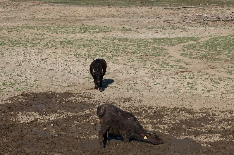 Swiss Re warns on heatwave risks as parts of Germany loosen trucking curbs