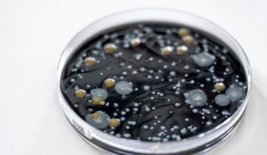 Basel authorities say Legionella outbreak is over