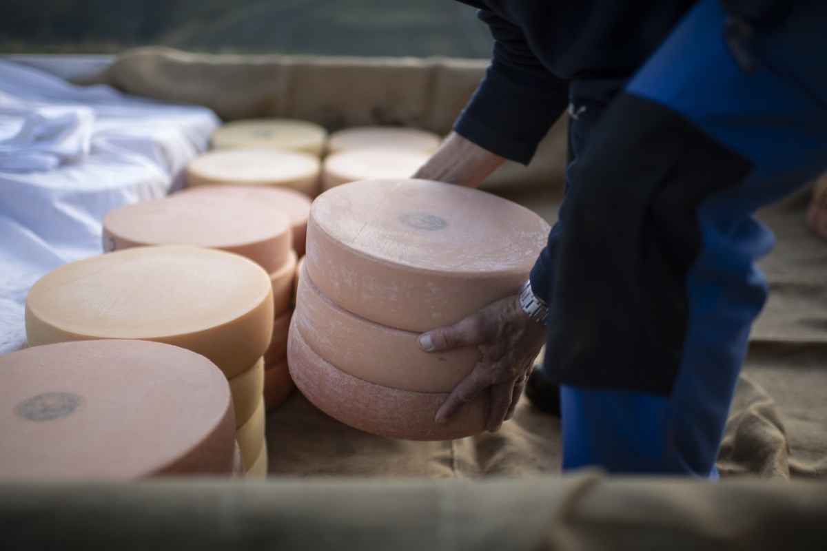 Heatwaves and drought hit Swiss cheese makers