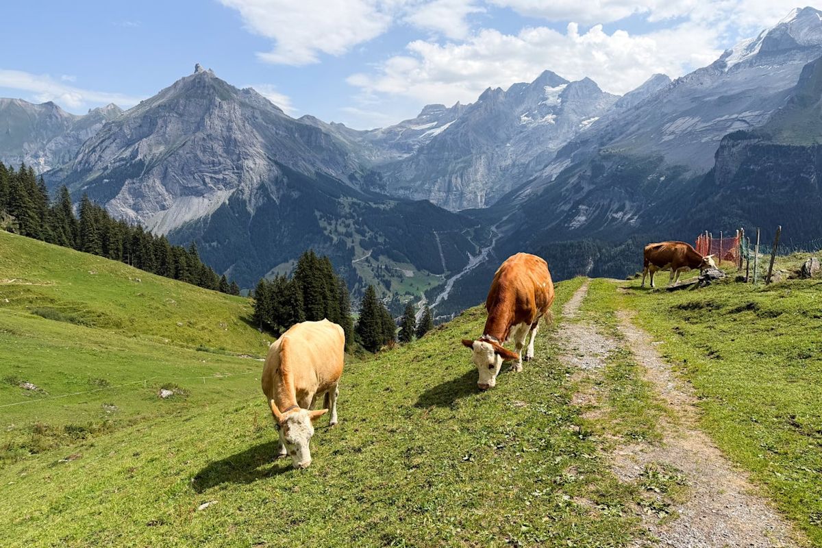 Another Swiss beauty spot could be buried under rubble – here’s why