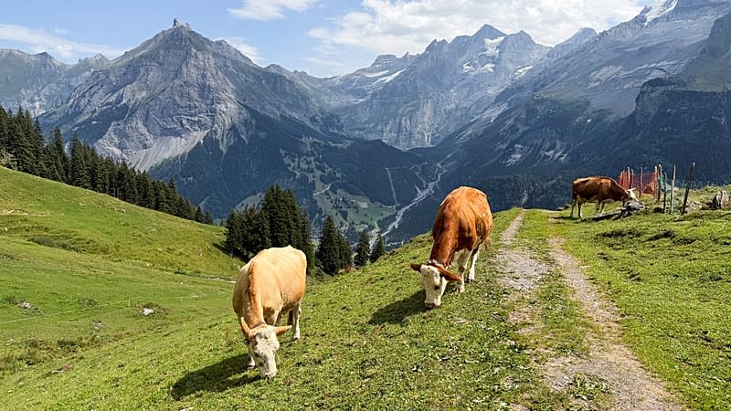 Swiss village lives in the shadow of an unstable mountain