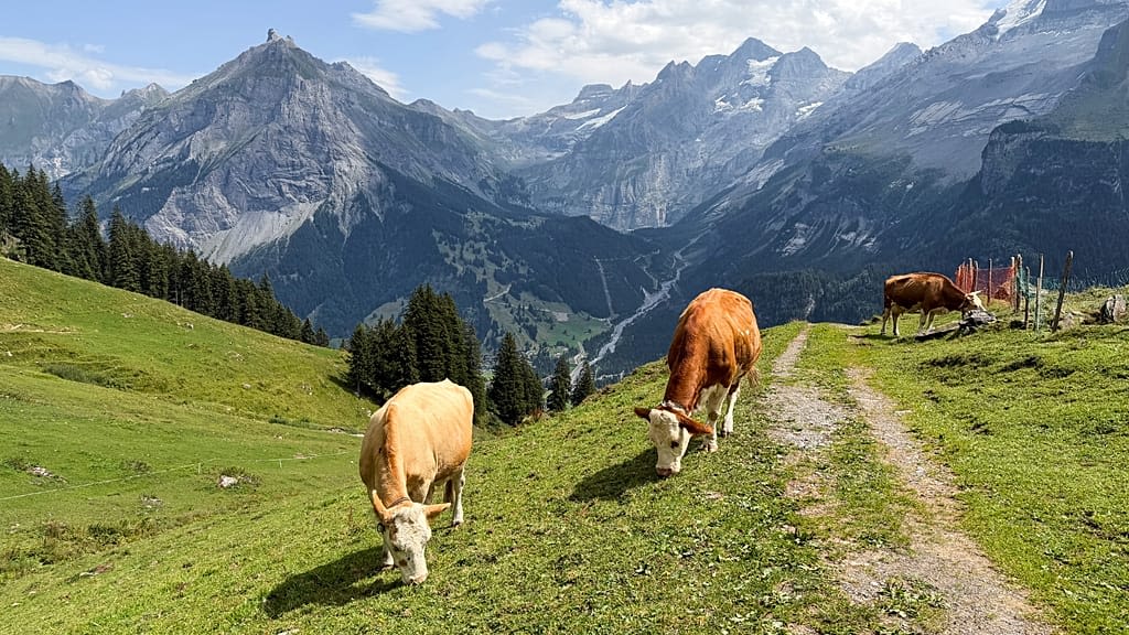 Swiss village lives in the shadow of an unstable mountain
