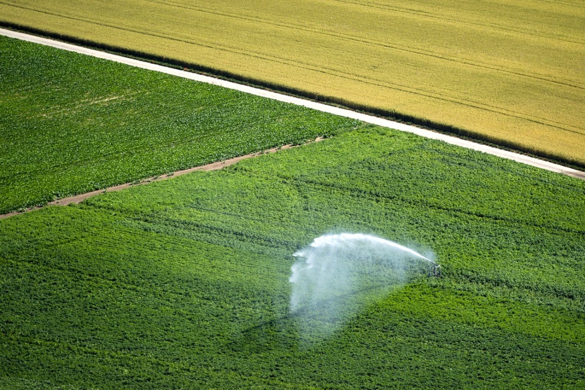 Swiss farmers prepare for droughts with major irrigation project