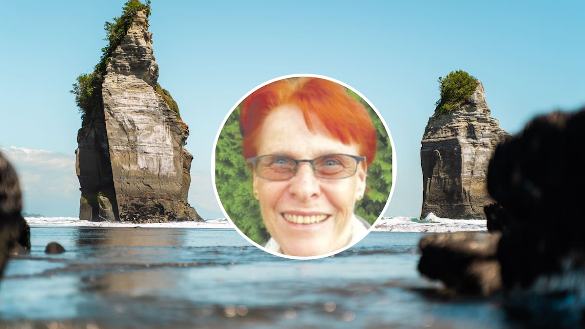 ‘Keep Left’ stickers recommended after Swiss tourist dies in wrong-lane Taranaki crash