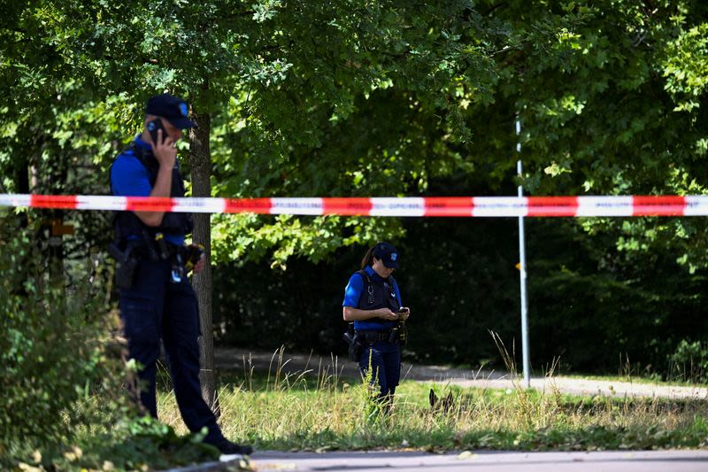 Swiss rave shooting 'lone perpetrator' handed himself in to police