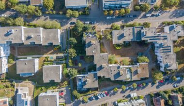 Could the layout of trees impact human health?