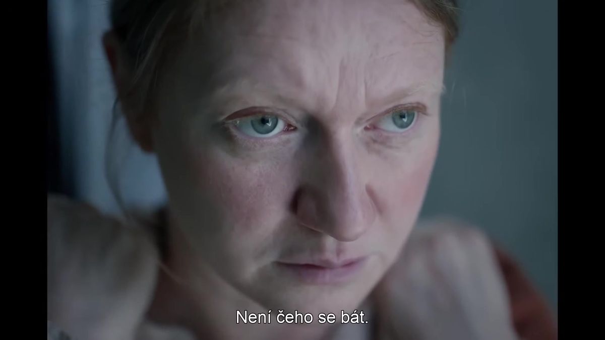 Novinky.cz