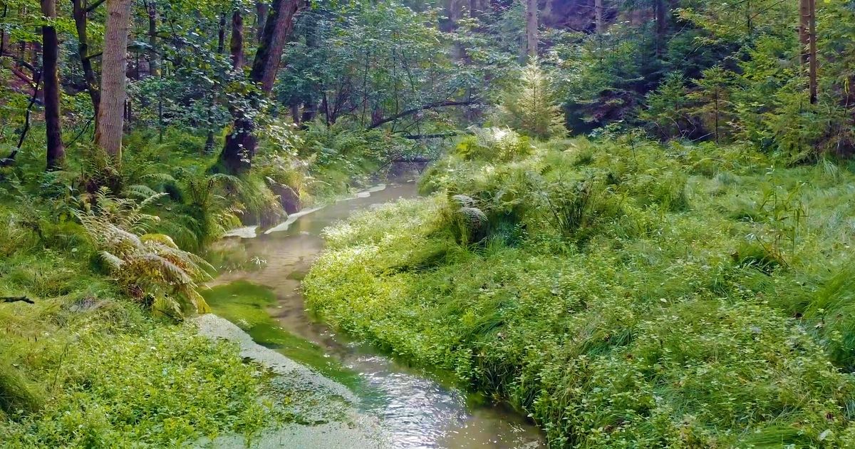 Den Země v Praze: Ekofest i mobilní planetárium! Kam s dětmi vyrazit?