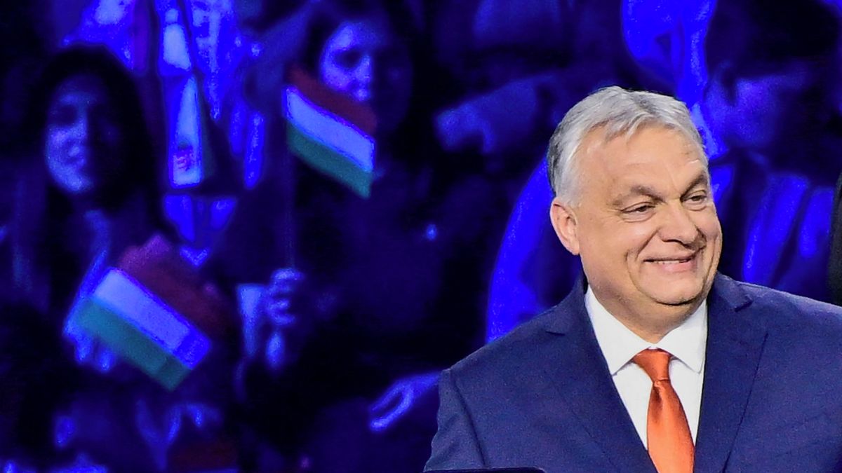 Seznam Zprávy