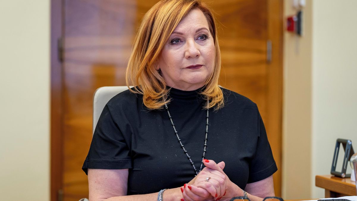 Novinky.cz