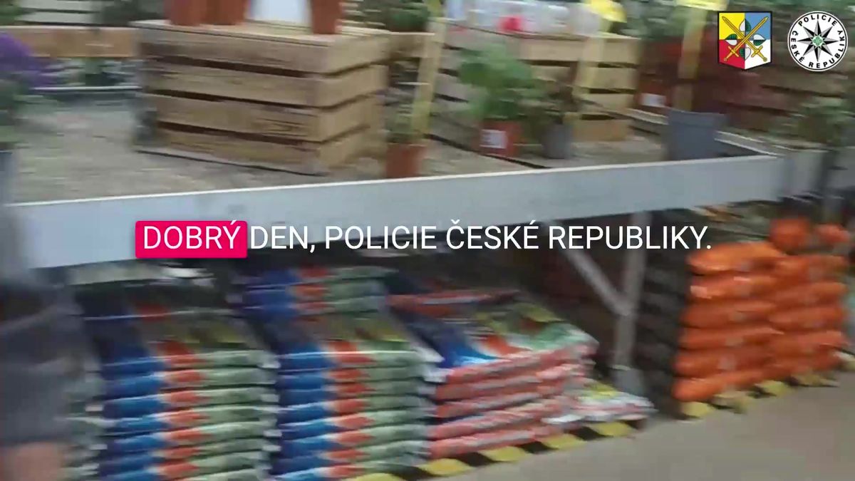Novinky.cz