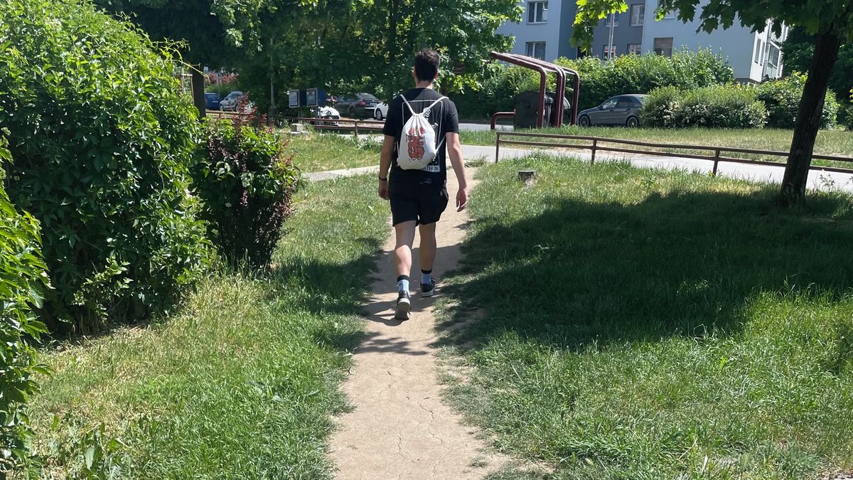 Seznam Zprávy