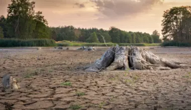 Evropa nám vysychá před očima. Vědci odhalili skutečného viníka