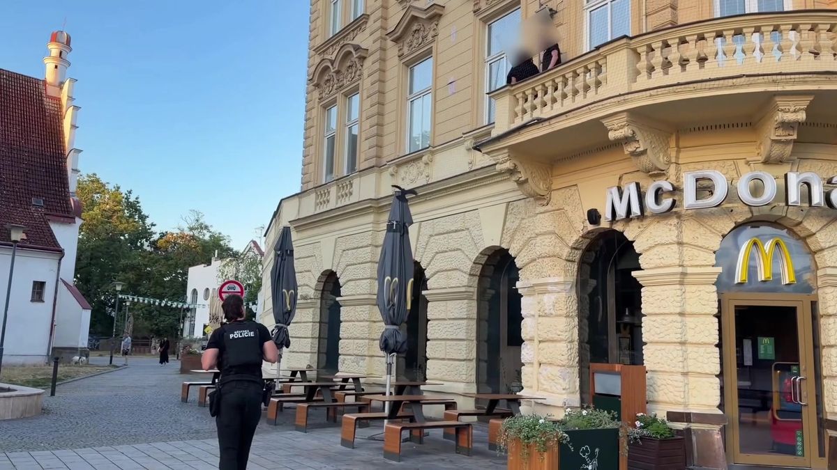 Novinky.cz