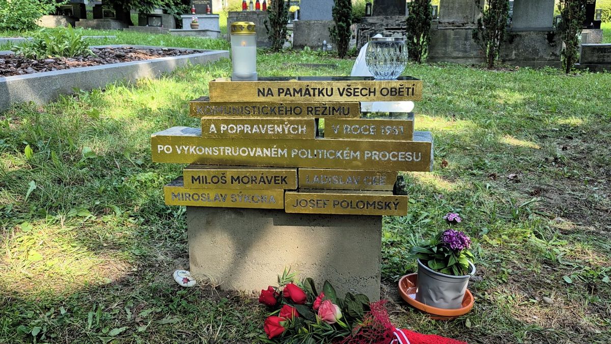 Novinky.cz