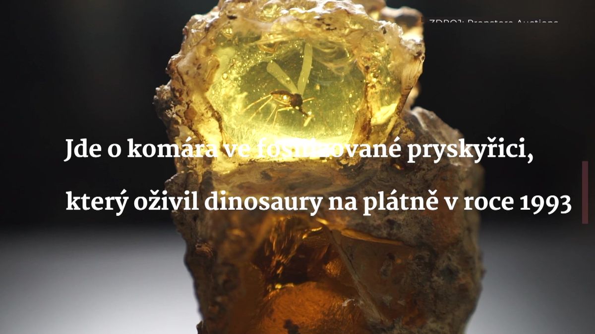 Seznam Zprávy