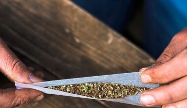 "Markus Söder müsste sich selbst dumm finden": Frust nach Cannabis-Teillegalisierung wächst