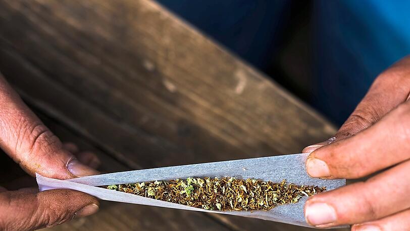 "Markus Söder müsste sich selbst dumm finden": Frust nach Cannabis-Teillegalisierung wächst