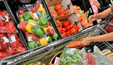 Preise im Supermarkt – Paprika wird rasant teurer