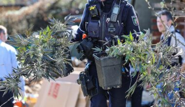 Polizei sieht Cannabisgesetz als "Mängelexemplar"