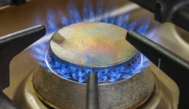 Gaspreise für Verbraucher wieder angestiegen