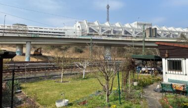 „Die sind stocksauer“ Kleingärtnern neben der baufälligen A100-Brücke droht das Ende ihrer Idylle - Tagesspiegel