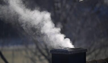 Grünen-Fraktion fordert Neuregelung der Heiz- und Mietkostenübernahme für arme Menschen