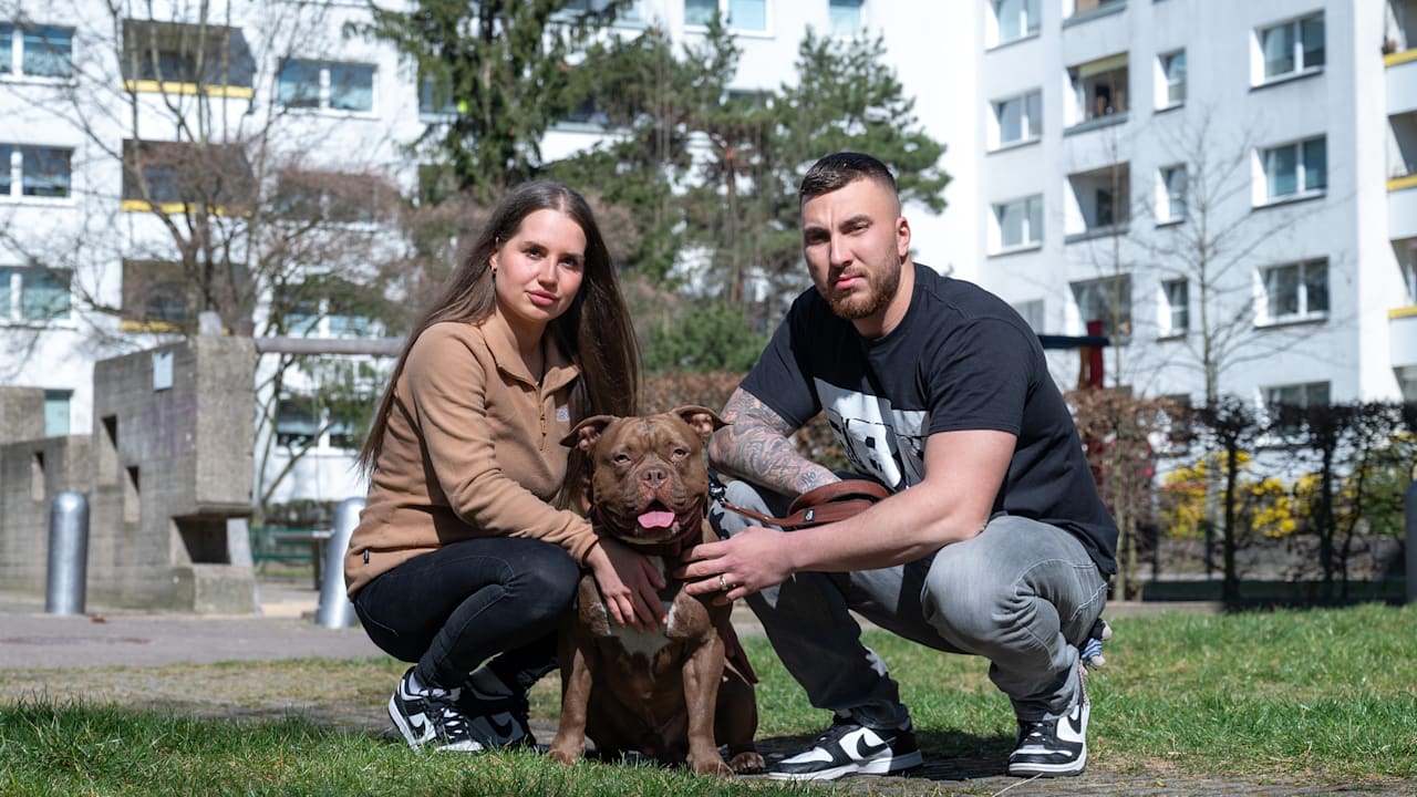 Vermieter Gesobau will Bulldogge Smiley aus Berliner Wohnung klagen | Regional