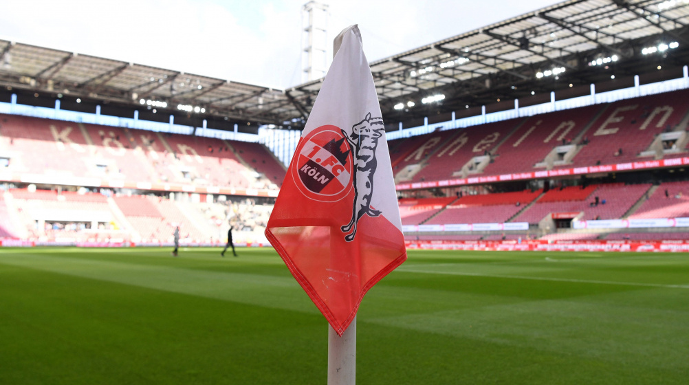 1. FC Köln: Vorstandstrio tritt im Herbst ab – Kampfkandidaturen möglich