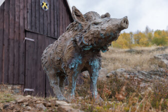 Wildschwein-Bronze am Purple Path am Sauberg.