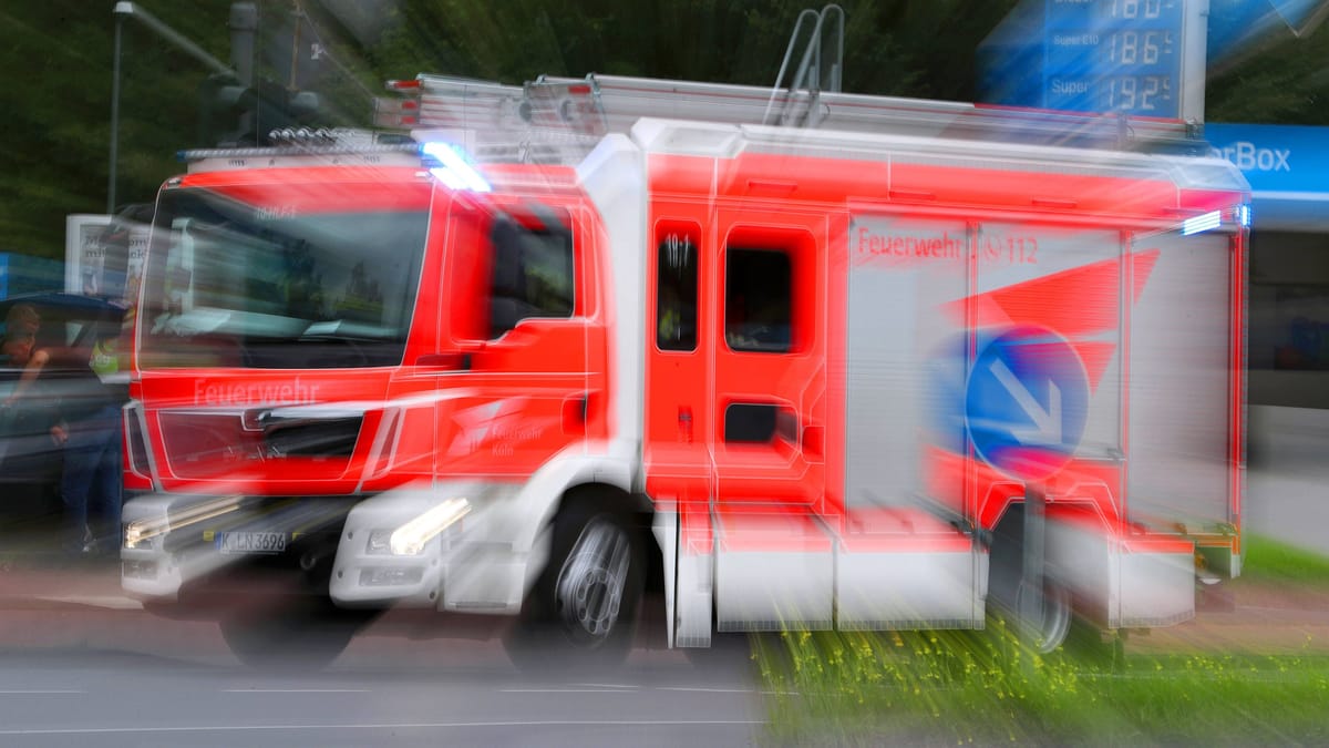 Königsforst steht in Flammen – Feuerwehr im Großeinsatz