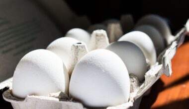 Dieses Video geht viral: Eiermangel in Frankreich wegen des Fastenmonats Ramadan?