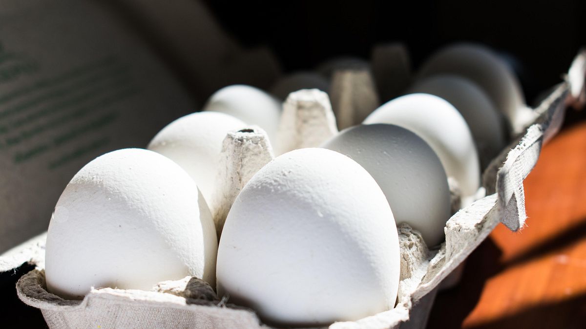 Dieses Video geht viral: Eiermangel in Frankreich wegen des Fastenmonats Ramadan?