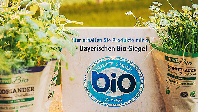 Frische Bio-Kräuter mit dem Bayerischen Bio-Siegel in einem Gewächshaus.