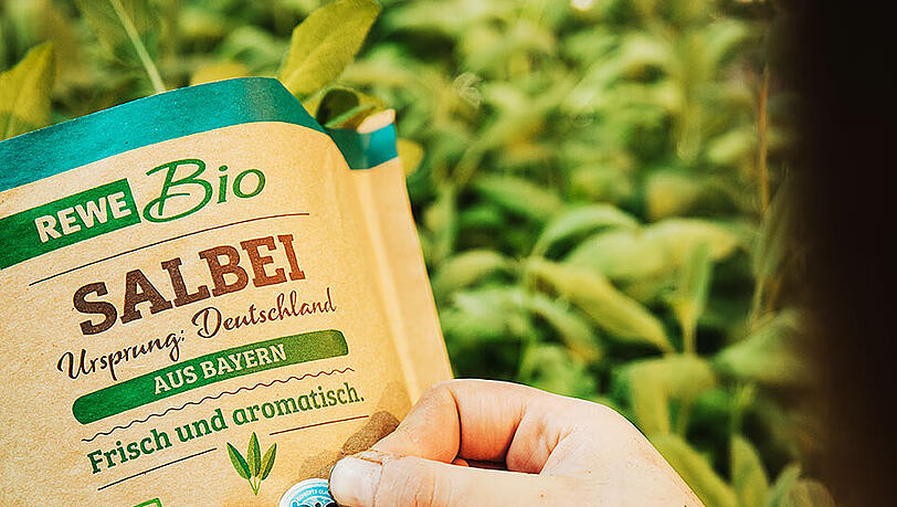 Eine Hand hält eine Salbeiverpackung mit dem Bayerischen Bio-Siegel.