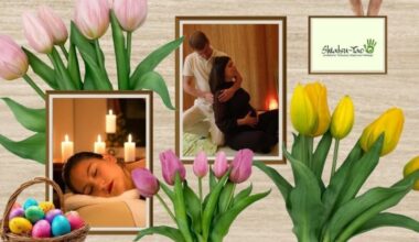 50 EUR Gutschein für Massage, ein Wellnesspaket oder Shiatsu gewinnen