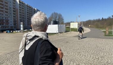 Schlechte Laune oder gutes Handwerk? Das sagen Zwickauer zur neuen Purple Path-Skulptur im Muldeparadies