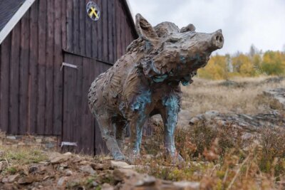 „Wildschweine“ in Ehrenfriedersdorf: Die drei Wildschweinfiguren aus patinierter Rotgussbronze von Carl Emanuel Wolff wirken, als wären sie schon immer dort gewesen – seit mehr als 800 Jahren, als der Sage nach Wildschweine das erste Zinn auf dem Sauberg freigewühlt haben sollen.