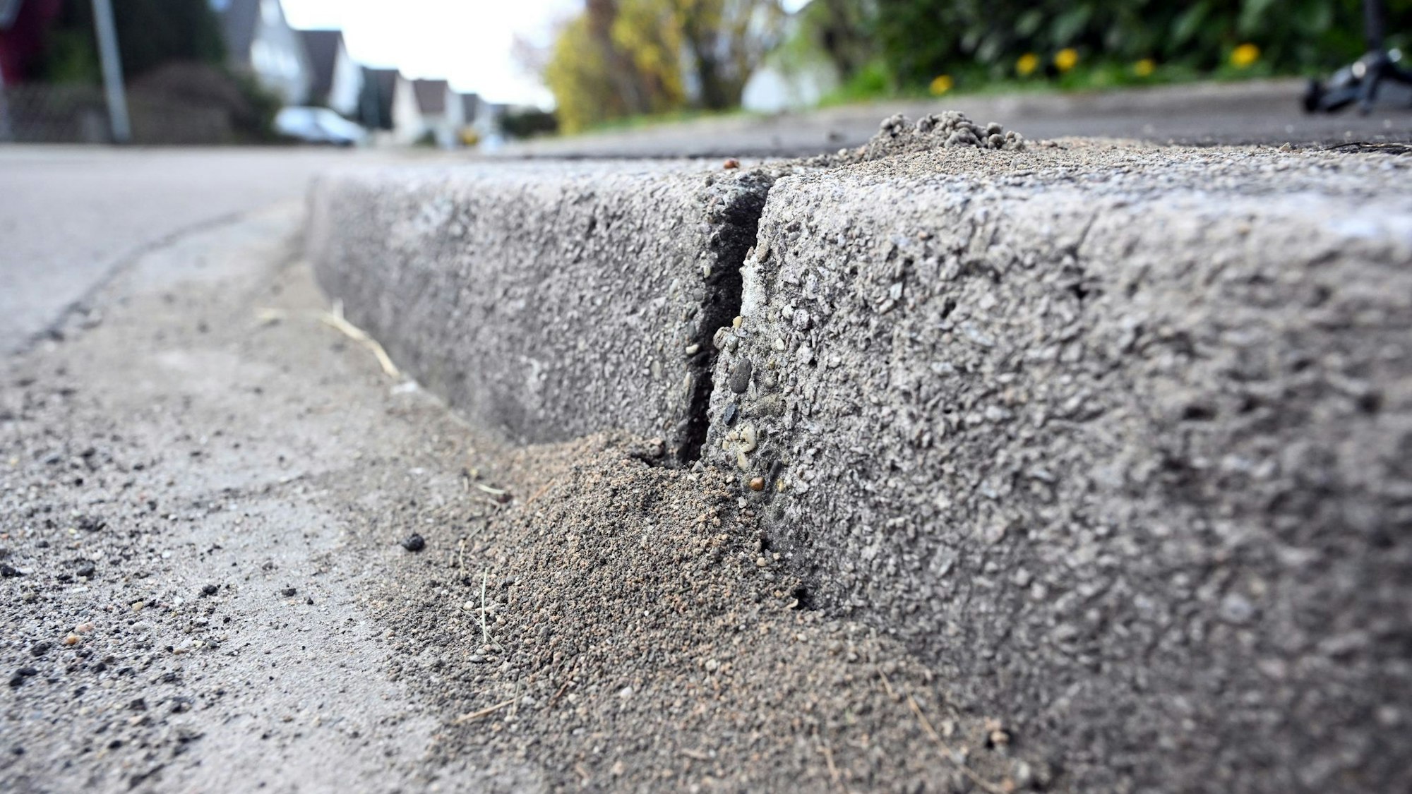 Am Bordstein einer Straße sind Schäden zu sehen, die durch Ameisen hervorgerufen wurden. (Archivbild)