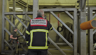 Kölner Feuerwehr kooperiert mit Zoo-Tieren als Helfer