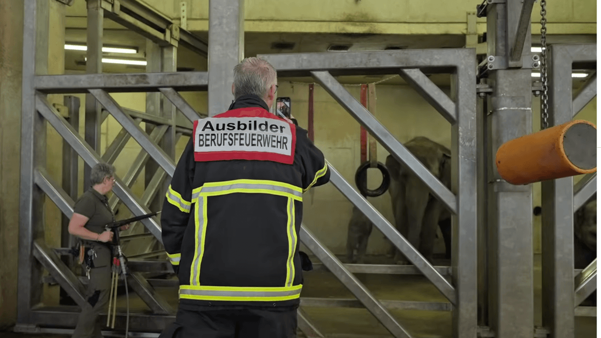 Kölner Feuerwehr kooperiert mit Zoo-Tieren als Helfer