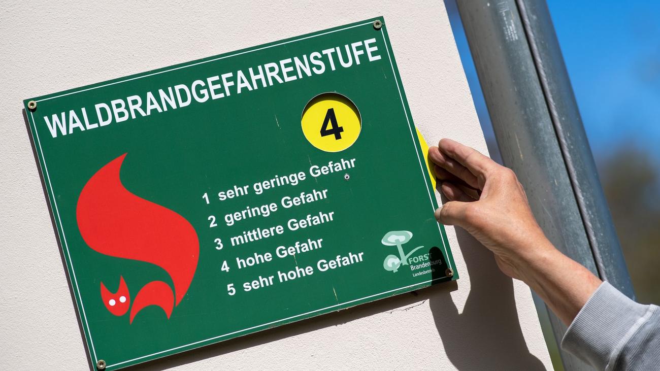Waldbrände: Hohe Waldbrandgefahr in einigen Regionen - Feuer bekämpft