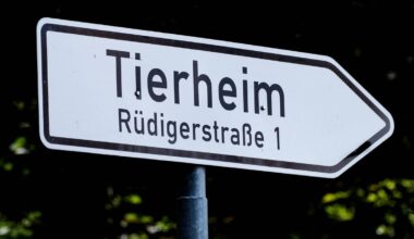 Plötzlich verstorben – Tierheim trauert um langjährigen Leiter