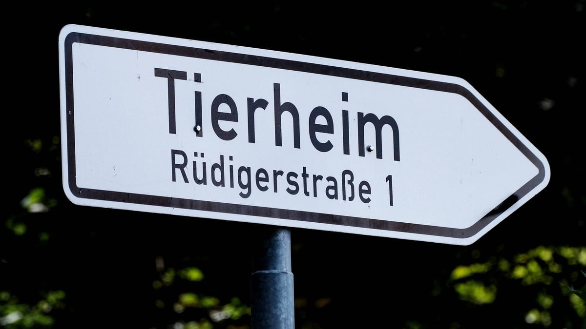 Plötzlich verstorben – Tierheim trauert um langjährigen Leiter