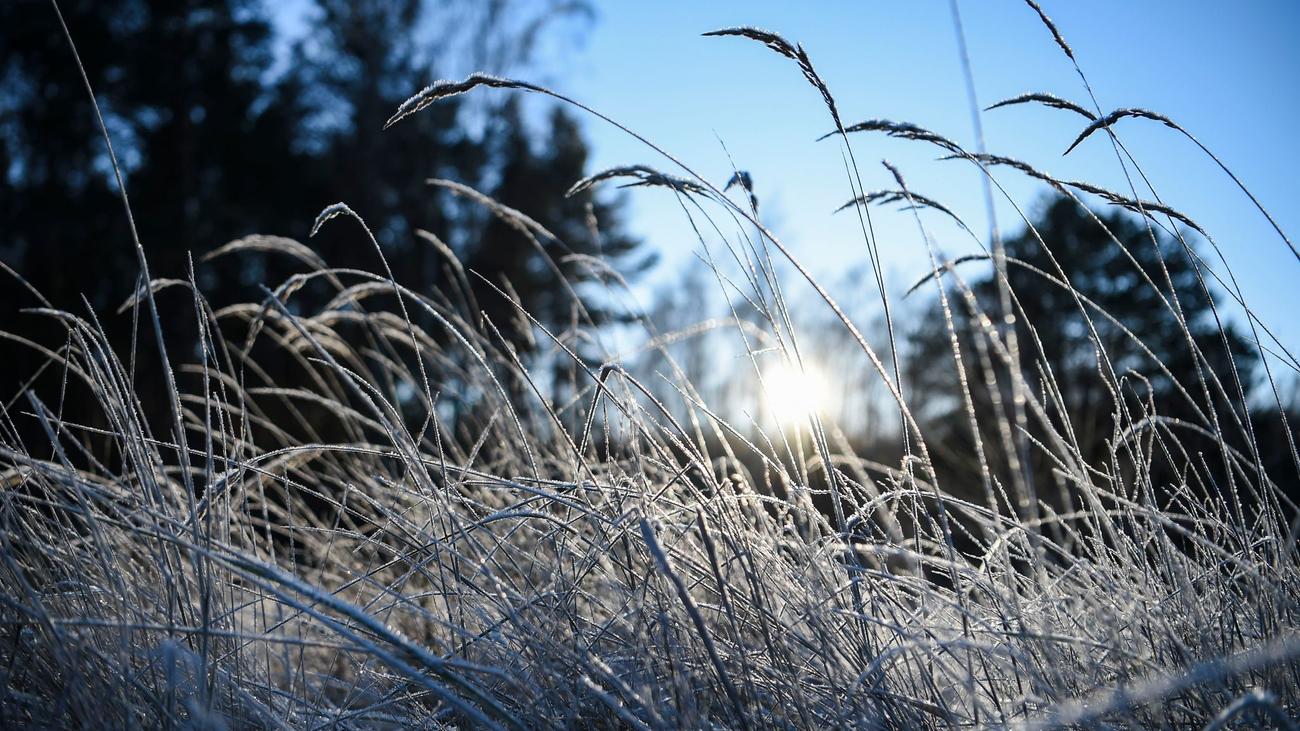 Wettervorhersage: Nächtlicher Frost in Berlin und Brandenburg erwartet