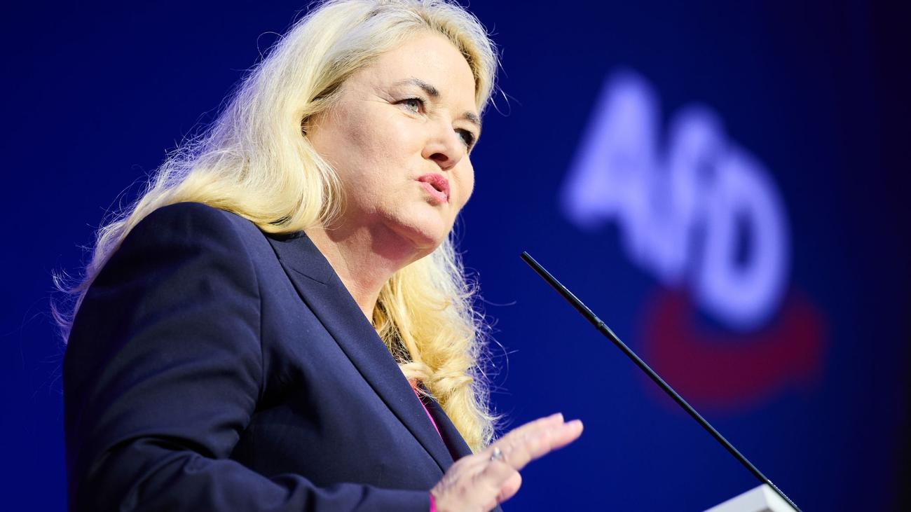 Parteitag: Berliner AfD wählt ihre Parteispitze neu