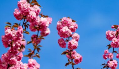 Wetter bleibt freundlich – viel Sonne bei kühleren Temperaturen