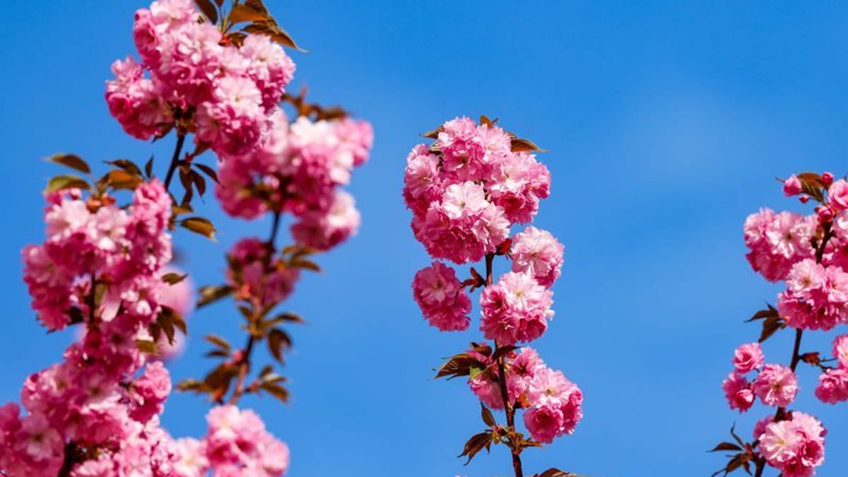 Wetter bleibt freundlich – viel Sonne bei kühleren Temperaturen
