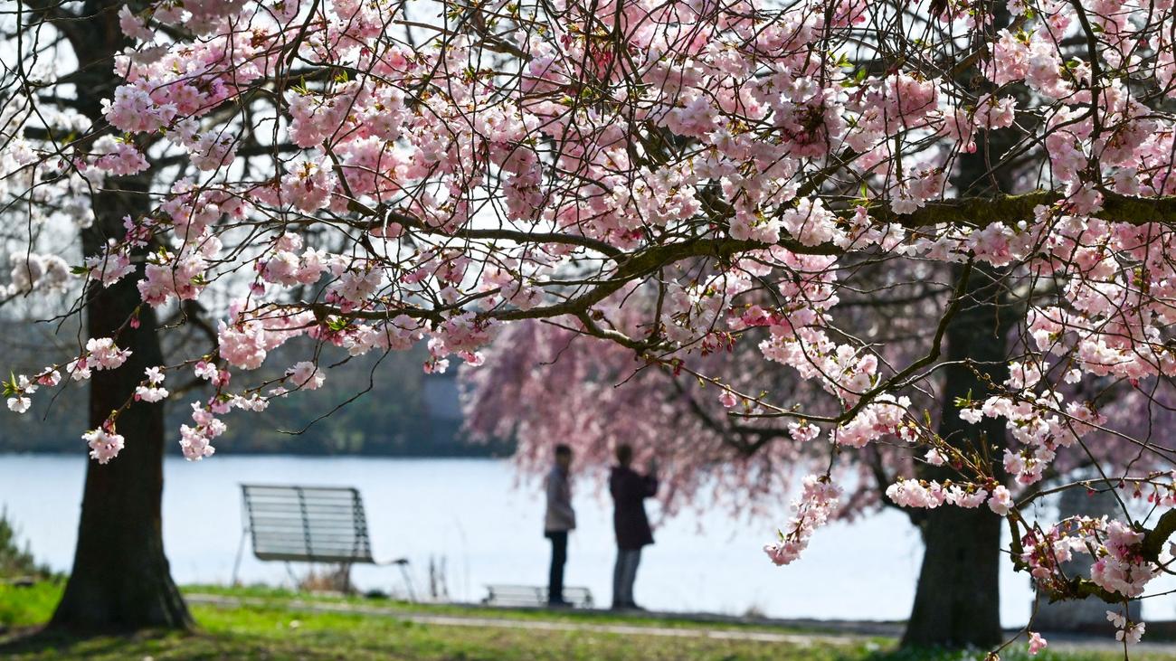 Wettervorhersage: Freundliches Frühlingswetter in Berlin und Brandenburg