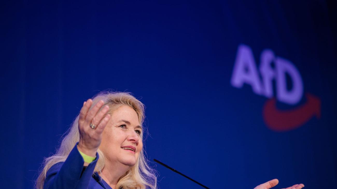 Parteitag: Brinker erneut zur Berliner AfD-Chefin gewählt